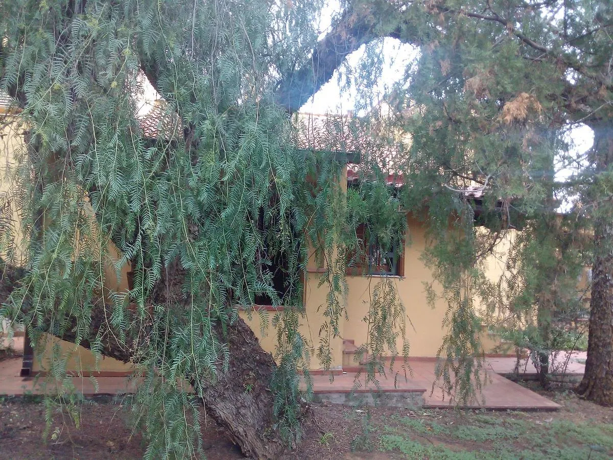 Bed & Breakfast B&B Eleonora Palermo